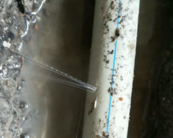 平顶山卫东卫生间测漏水多少钱