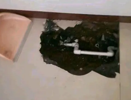 平顶山卫东卫生间测漏水多少钱
